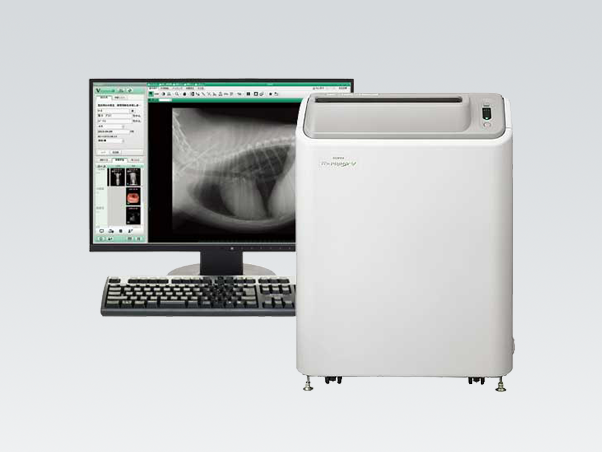 �W�^���摜�f�f�V�X�e��